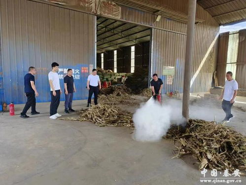 秦安獸藥飼料經營及牧草加工企業安全生產督查紀實