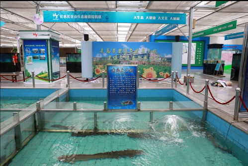農博亮點搶先看丨漁業畜牧業展覽 觀賞與實用并重，助力畜牧漁業飼料銷售