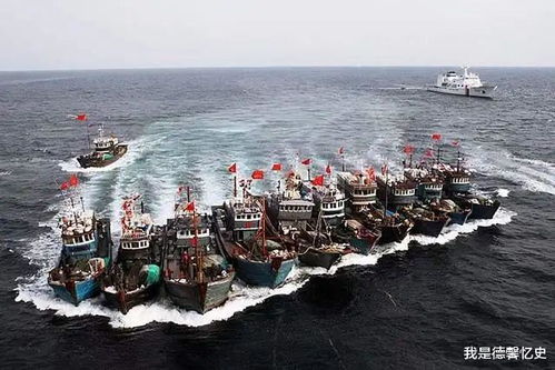 中國漁民從海底撈出5000噸重要寶物，美日竟要求歸還